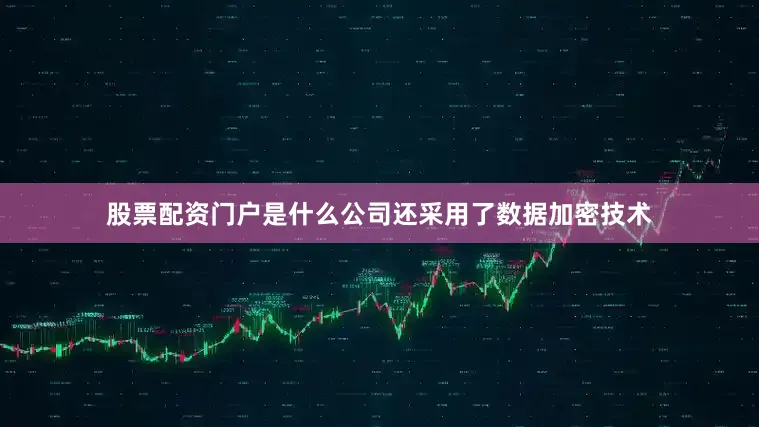 股票配资门户是什么公司还采用了数据加密技术