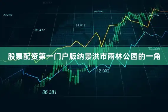 股票配资第一门户版纳景洪市雨林公园的一角