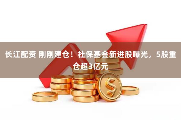 长江配资 刚刚建仓！社保基金新进股曝光，5股重仓超3亿元