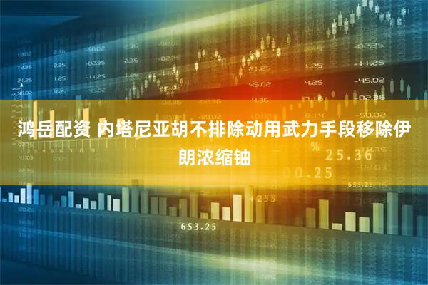 鸿岳配资 内塔尼亚胡不排除动用武力手段移除伊朗浓缩铀